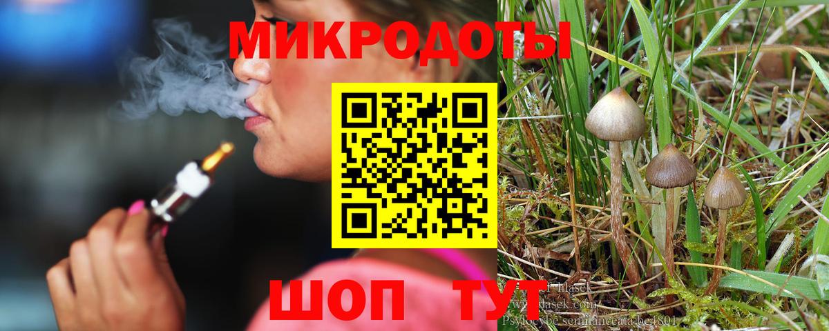Галлюциногенные грибы прущие грибы Выборг